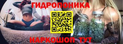 spice Абакан