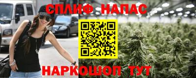 индика Азнакаево