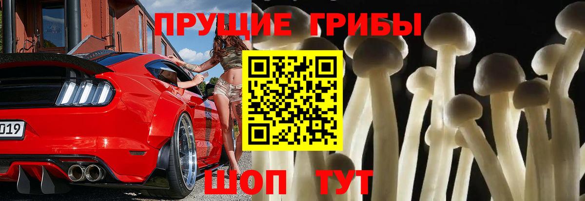 Псилоцибиновые грибы Psilocybe  Галлюциногенные грибы ЛСД  Ангарск  Вход с VPN 